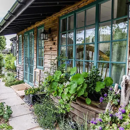 Cozy Garden Studio Williton Esterno foto