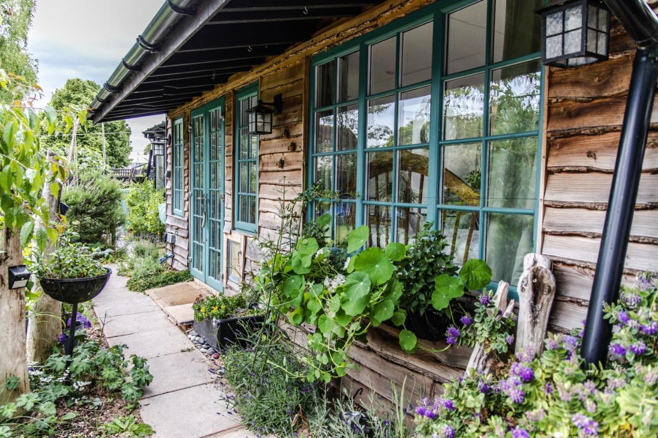 Cozy Garden *