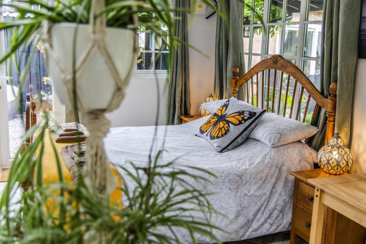 Cozy Garden